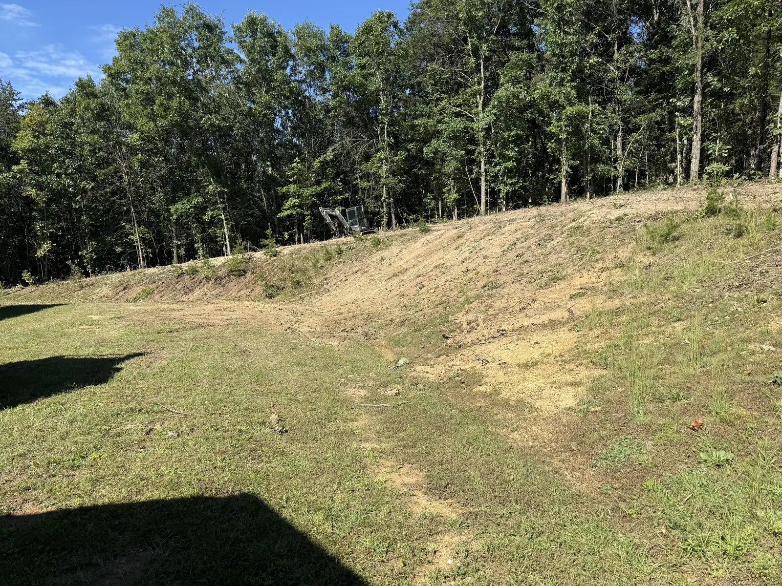 Bank opened up to bare ground below the tree line, ready for grading