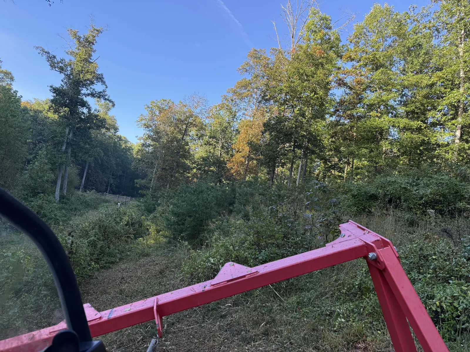 Brush and saplings ahead of the forestry mulcher head, seen from the loader cab