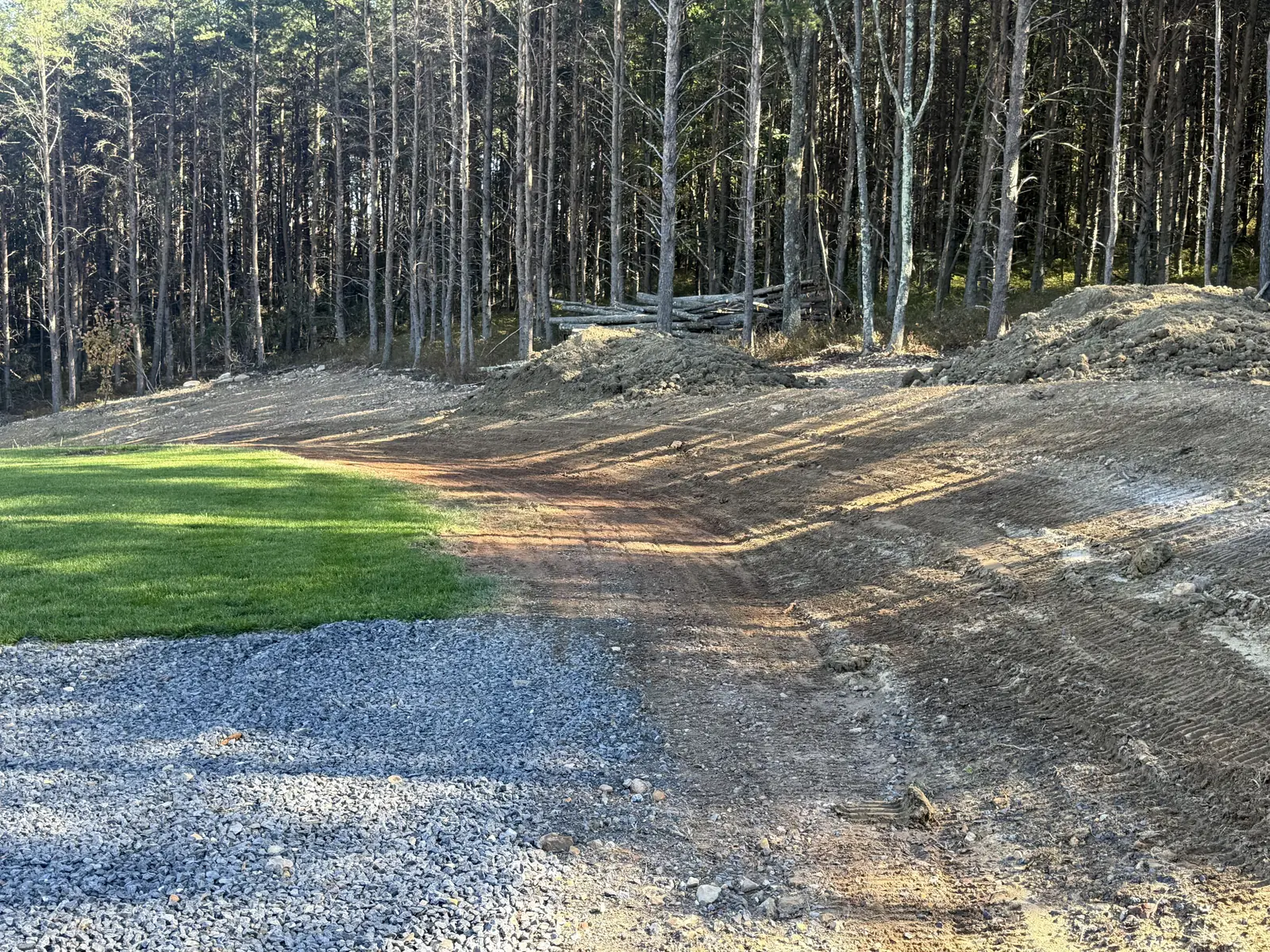 Swale cut along a tree line, the spoil piled at the edge of the woods