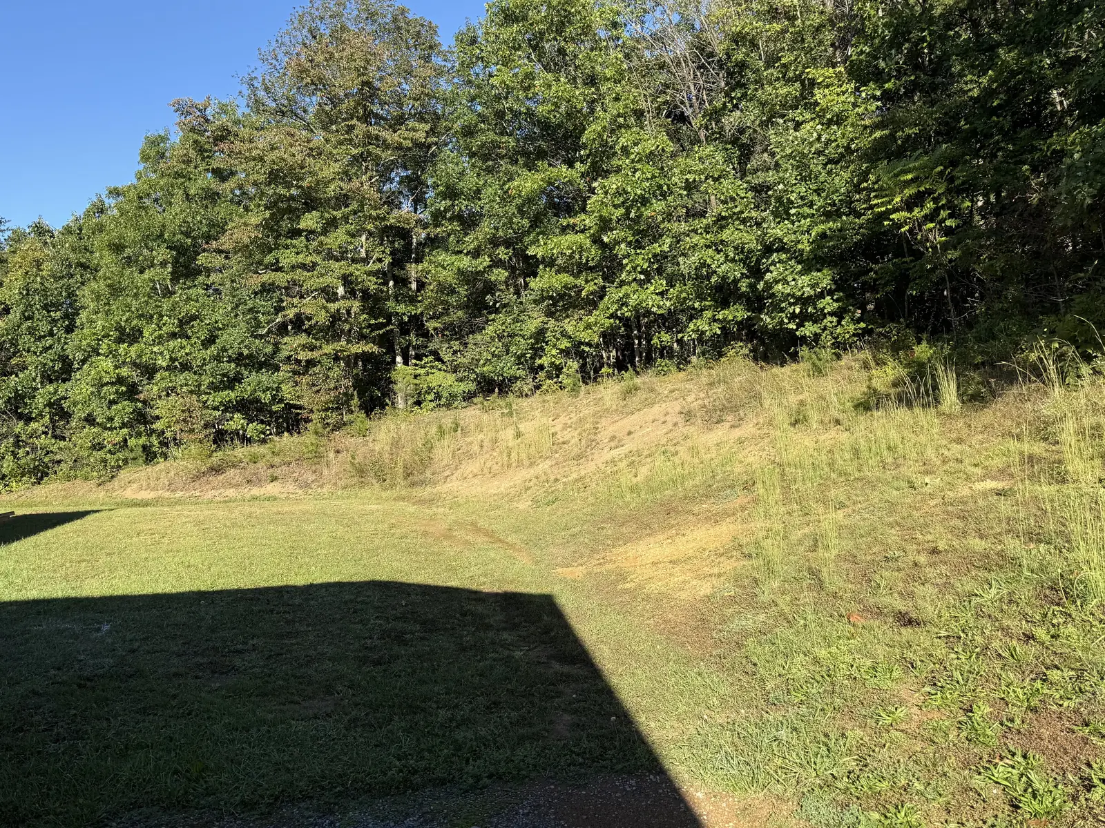 A grown-up bank at the edge of the woods before clearing and grading